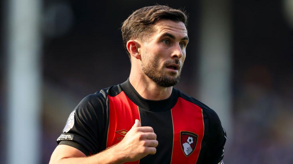 lewis cook
